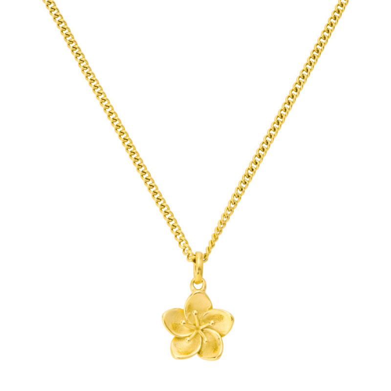 Κολιέ Ιβίσκος